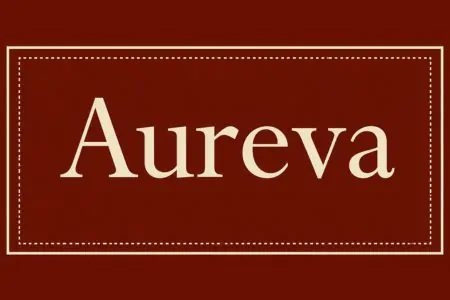 Aureva– TechPack Genius client